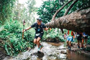 BIB: 
                            <button type="button" onclick="openModal(25375641)" class="btn btn-primary btn-sm float-right btn-popup" data-toggle="modal" data-target=".modal-high-quality">
                        <i class="fas fa-shopping-cart"></i> Add to Cart
                    </button>
                                            <button type="button" onclick="isThisMe(25375641, true)" class="btn btn-success btn-sm float-right btn-popup btn-isme hidden" data-toggle="tooltip" data-placement="bottom" title="นี่คือรูปของคุณใช่ไหม คลิกที่นี่เพื่อเอาเข้าอัลบั้ม">
                        <i class="fas fa-plus"></i> Add to album
                    </button>
                    <button type="button" onclick="isThisMe(25375641, false)" class="btn btn-warning btn-sm float-right btn-popup btn-isnotme hidden">
                        <i class="fas fa-ban"></i> Remove from album
                    </button>